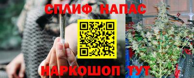 PSILOCYBIN Тверь