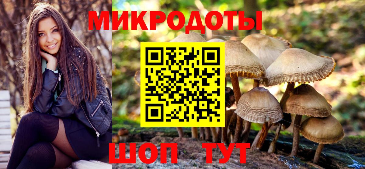 Псилоцибиновые грибы GOLDEN TEACHER Надым