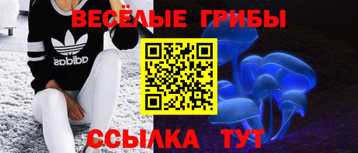 купить   Псилоцибиновые грибы Psilocybine cubensis  Вход с VPN  Надым 